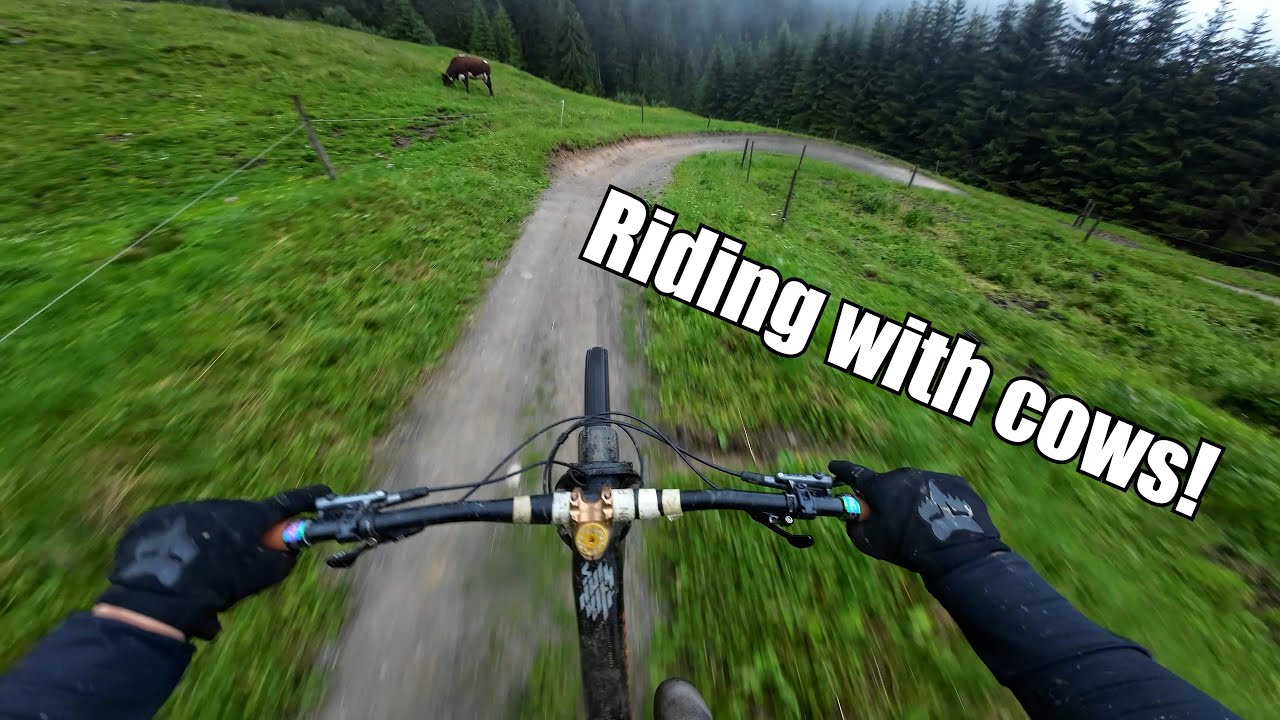 Hacklberg-Trail POV: The Ultimate Downhill Experience In Saalbach-Hinterglemm!