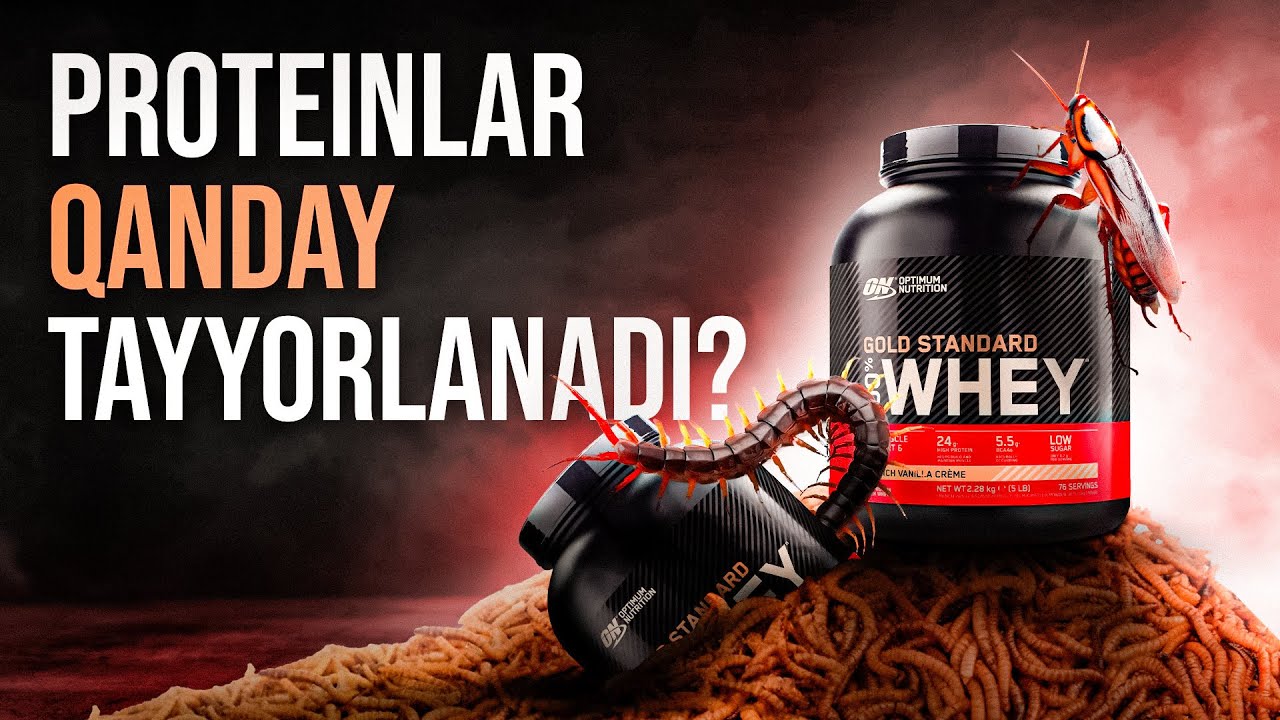Protein Tayyorlanishi va Nimadan Olinishi