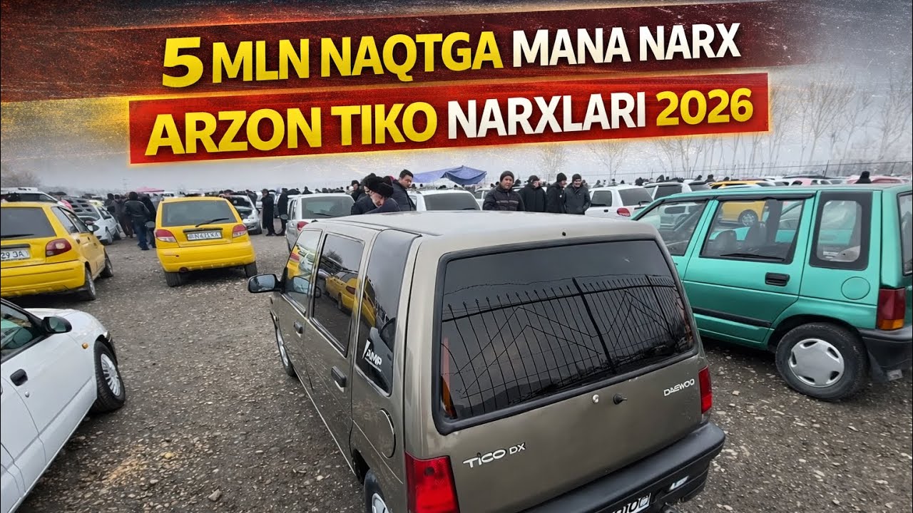 5 mln Tiko 😱 ARZON TIKO NARXLARI 2026