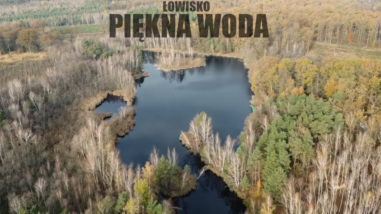 Prezentujemy Łowisko z domkami 