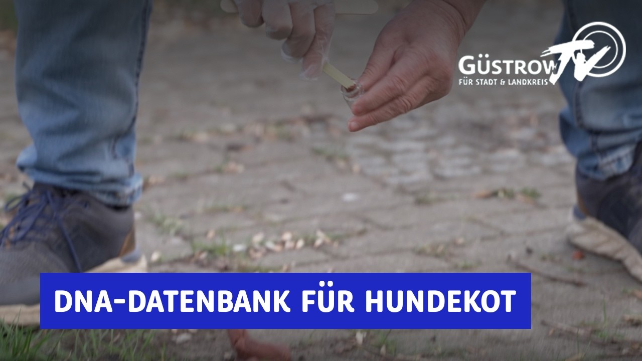 Eilantrag: DNA-Datenbank f&uuml;r Hunde zur Identifizierung von Haltern bei Hundekot-Verschmutzung