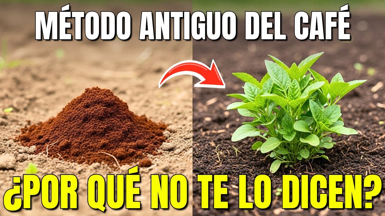 Convierte Restos de Café en Abono Natural | 8 Trucos de Jardinería Casera