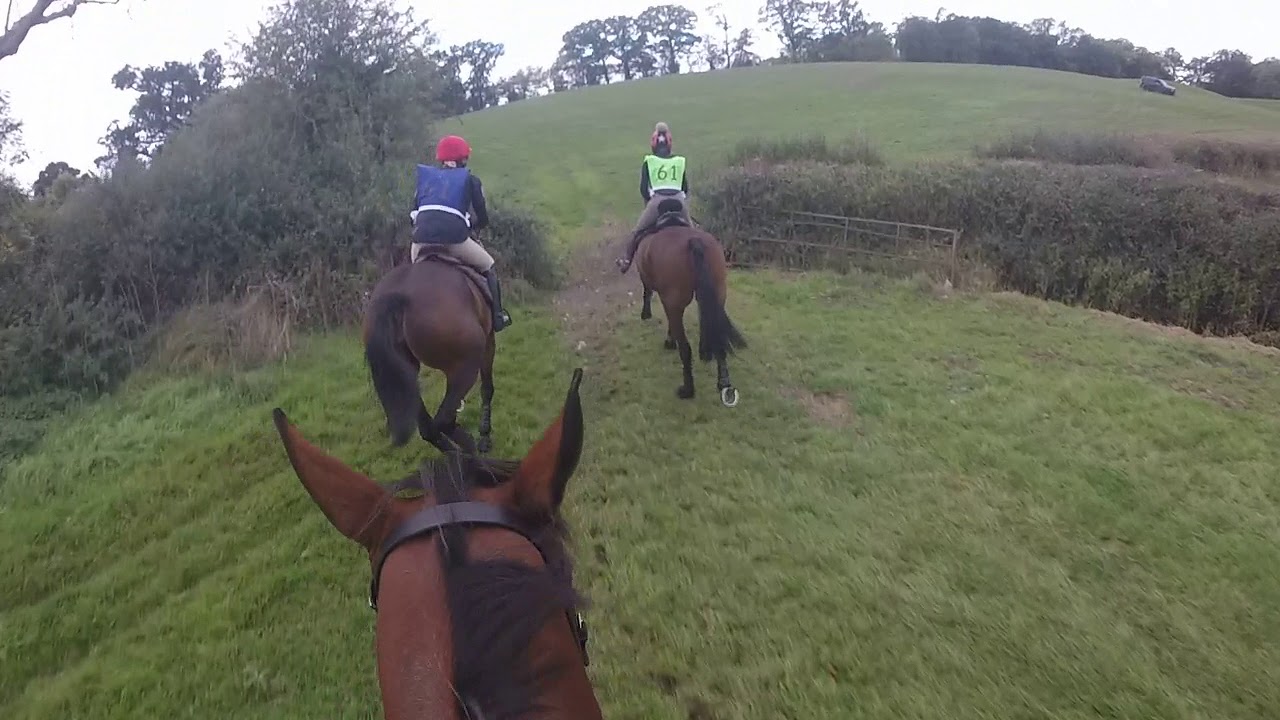 Berkeley Novice Team Chase 2018