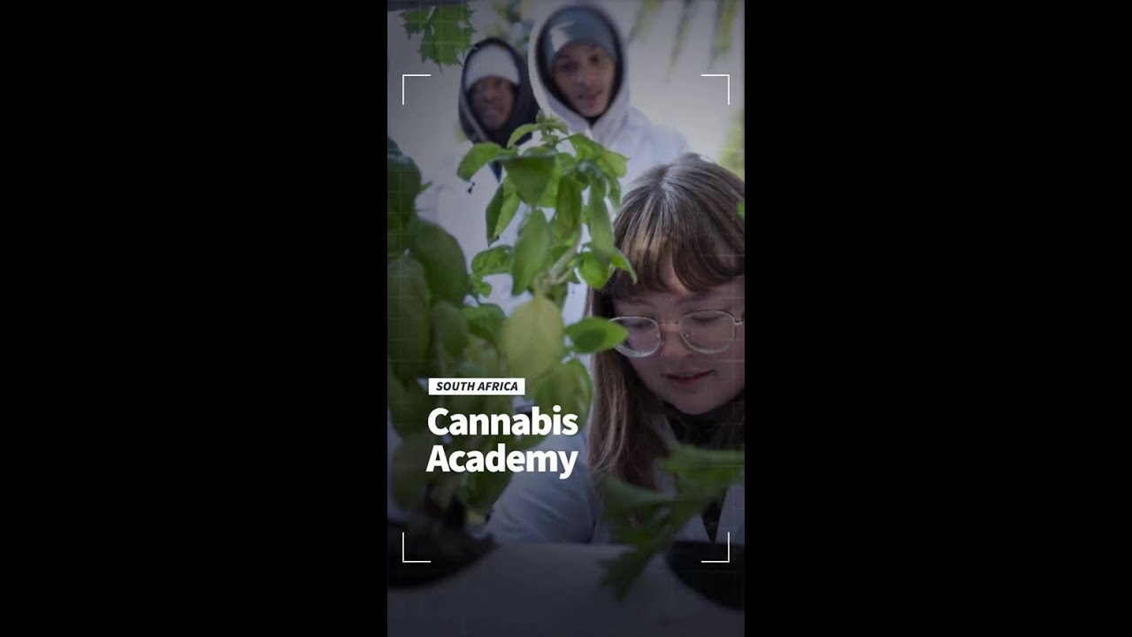 South Africa: Cannabis Academy