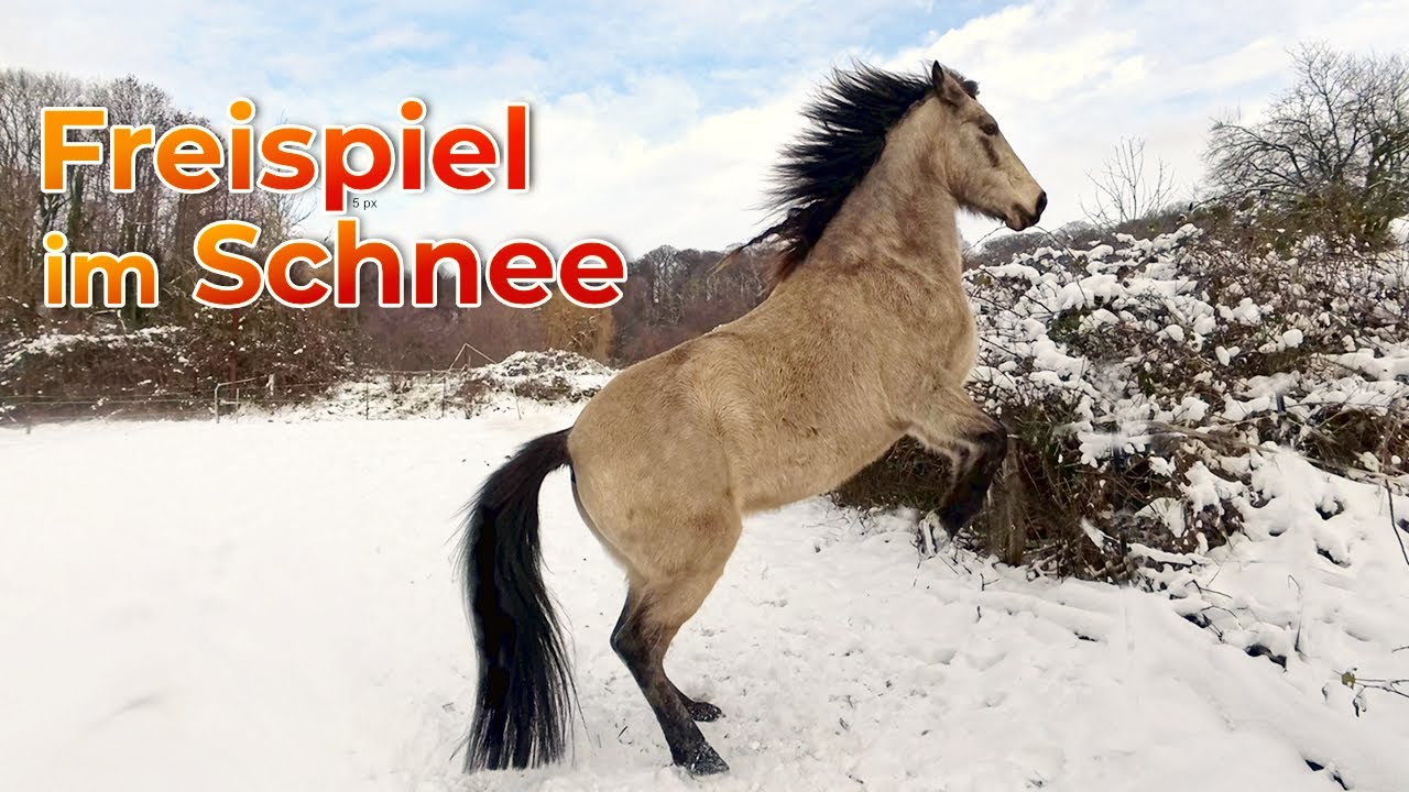 ❄️ 'Let It Go' mixed with Vivaldi - The Piano Guys
