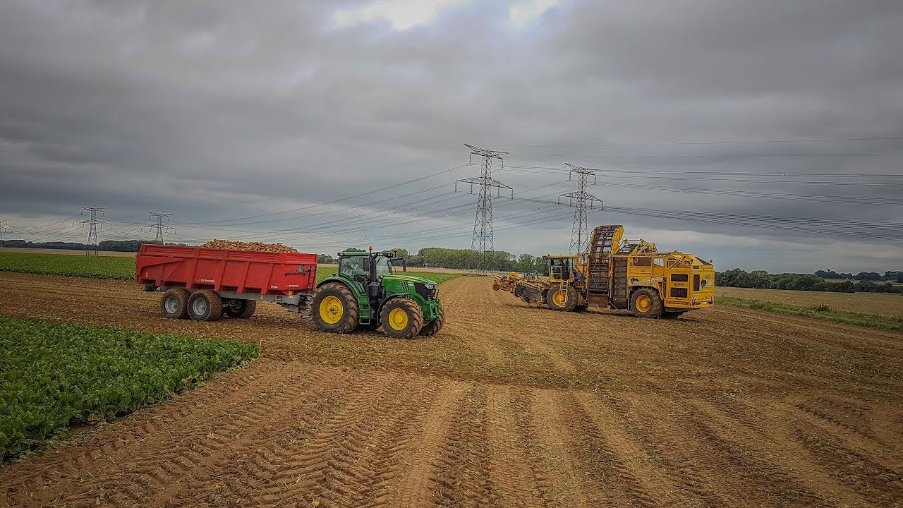La betterave, de l'arrachage au ramassage | ROPA x3 | John Deere x2