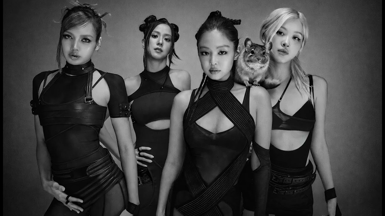 BLACKPINK - ‘GO’ (Chin-chilla REMIX)