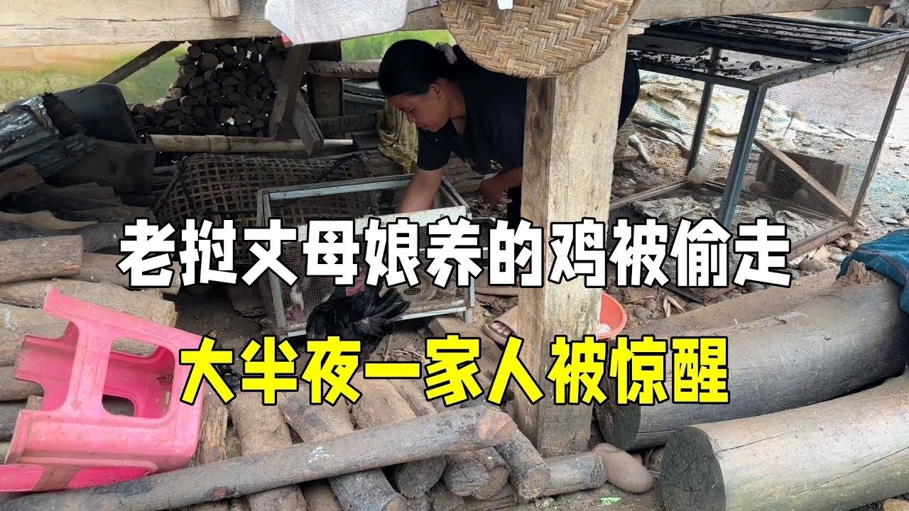 老挝丈母娘家半夜遭小偷偷鸡全家被惊醒