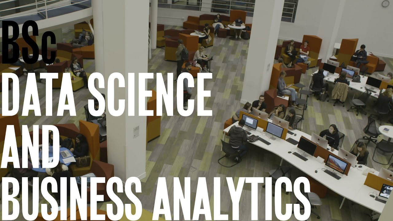 Spotlight on BSc Data Science and Business Analytics
