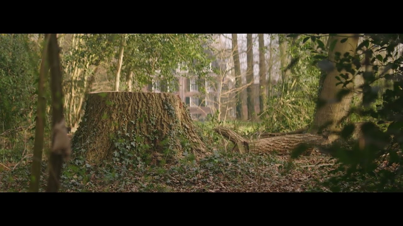 Early Spring - Sirui Anamorphic 35 F1.8