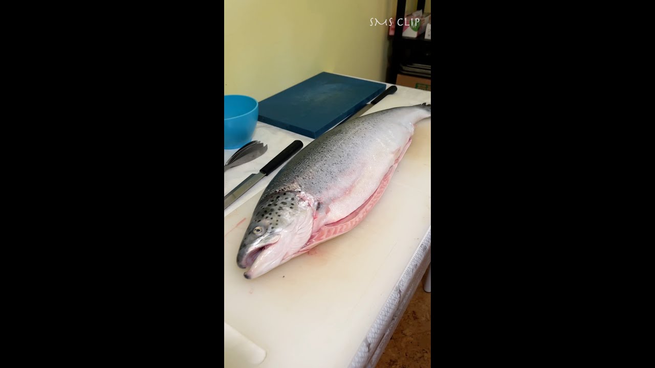 Totally for Beginners: How to Cut Salmon For Sushi & Sashimi