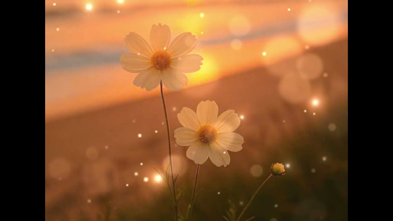 Nếu ta Ngược Lối - Cover