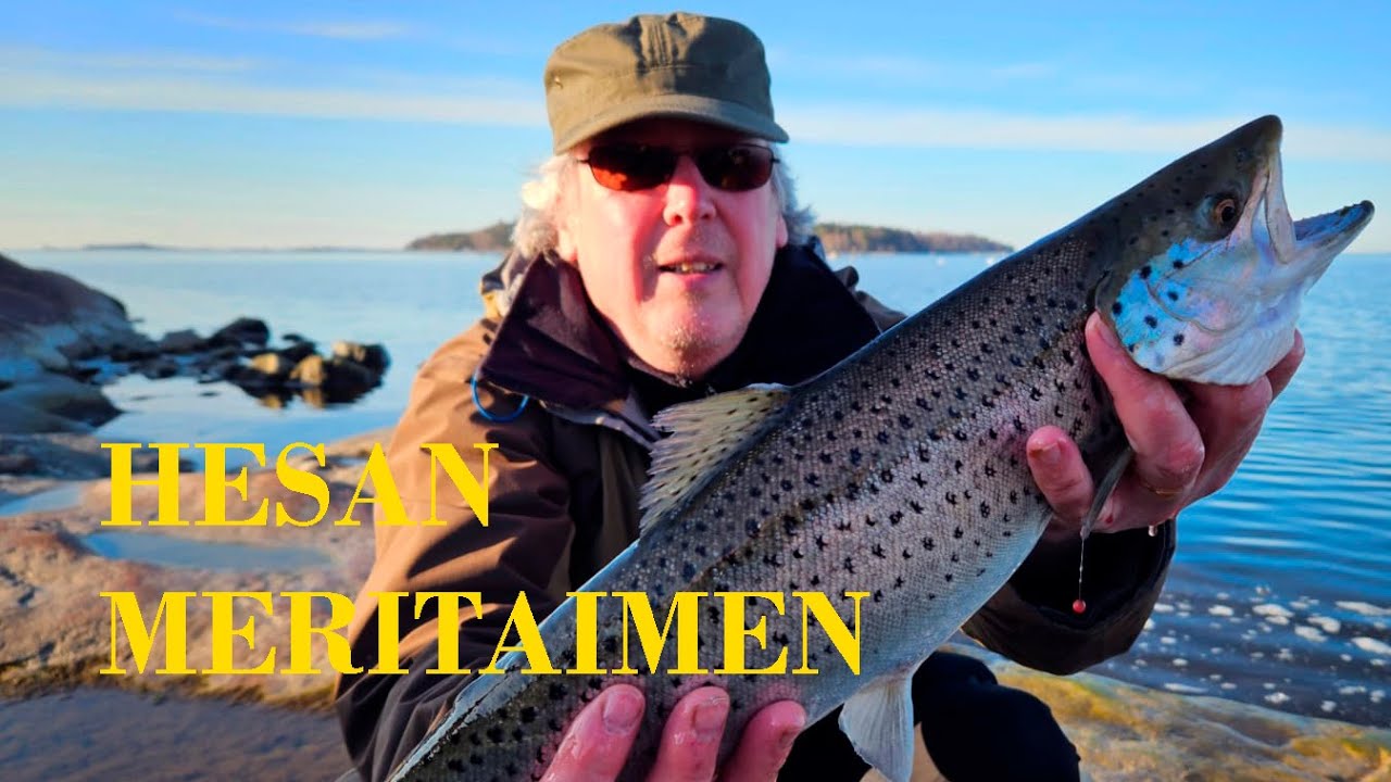 Hesan meritaimen iski ärhäkästi