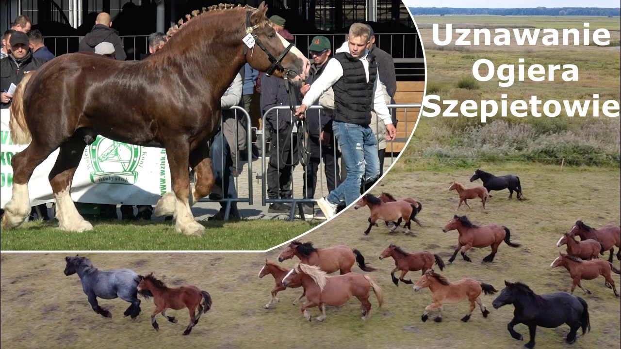 Jeden dzień może zmienić wszystko | Melon w Szepietowie