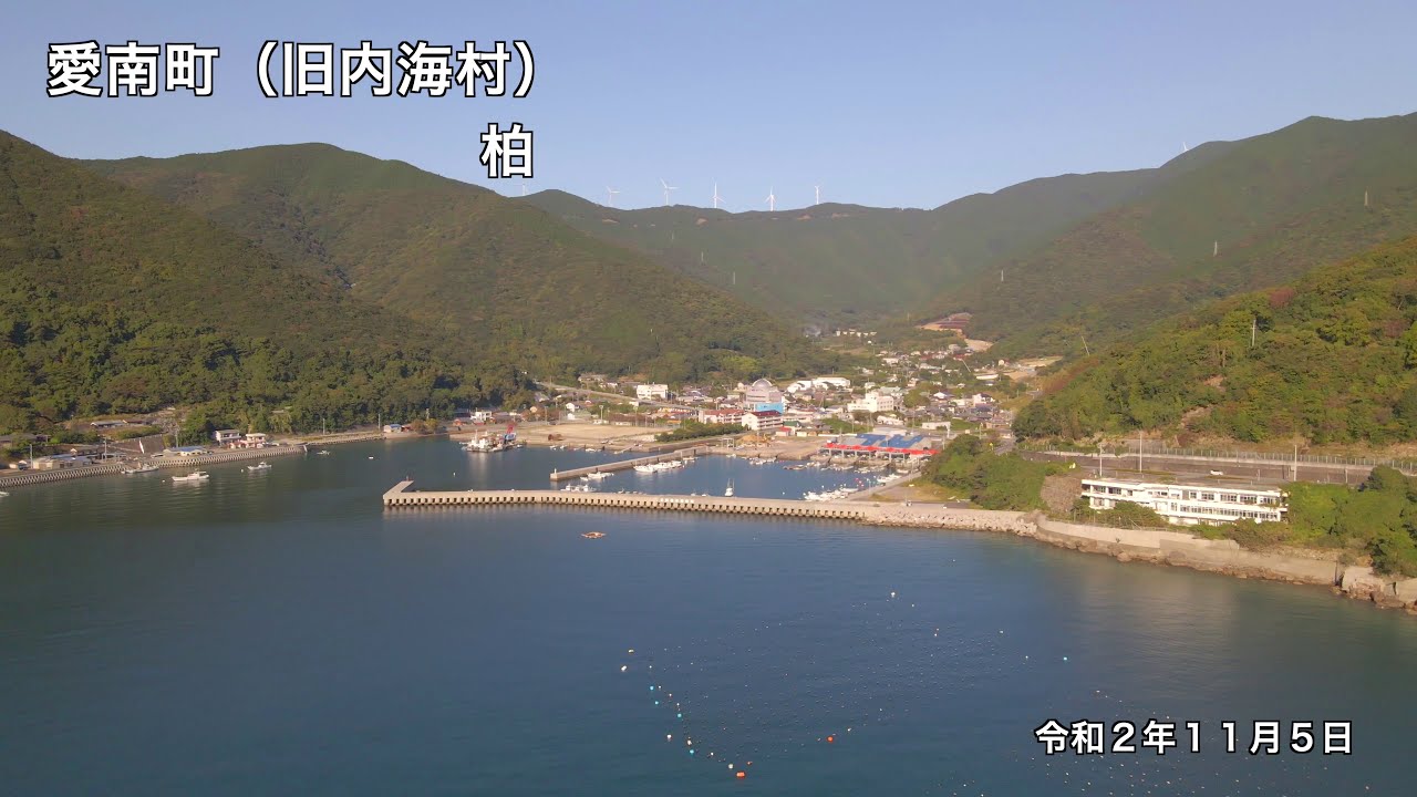 【オンライン里帰り】柏　愛媛県愛南町（旧内海村）