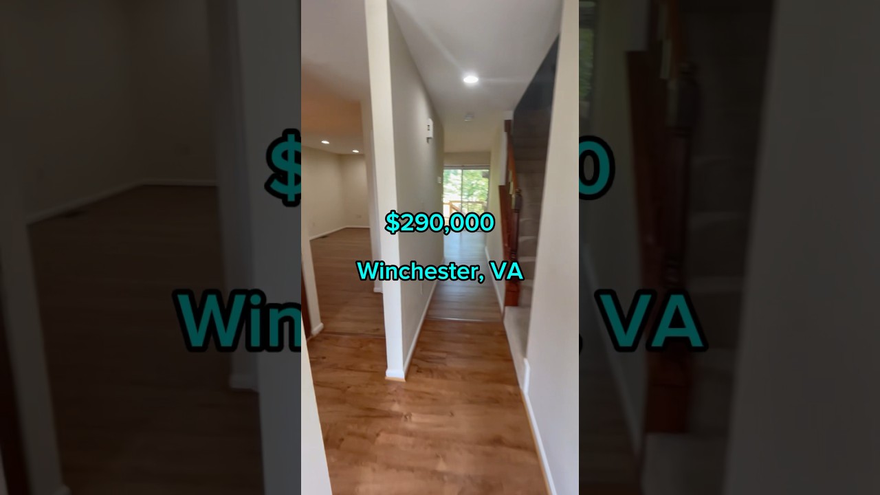 3 Level TH Under $300K #houseforsale #jcfrealestate #housetour #winchester