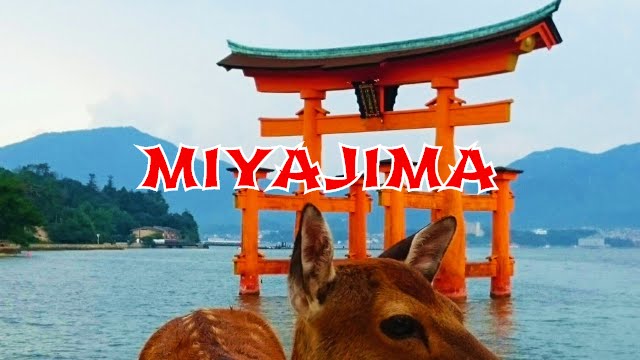 MIYAJIMA - Dal grande Torii fino in cima al monte Misen