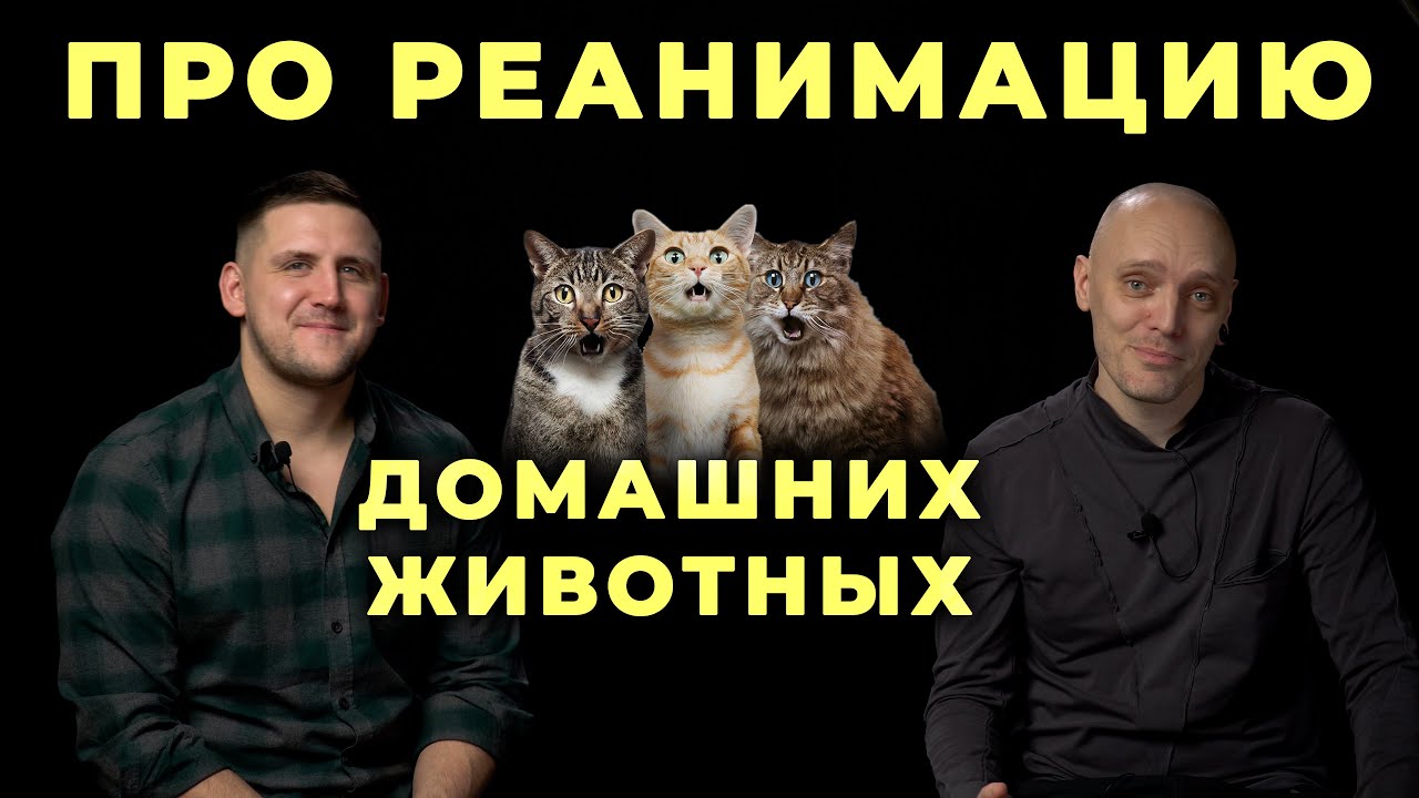 Реанимация домашних животных #ПроСМП