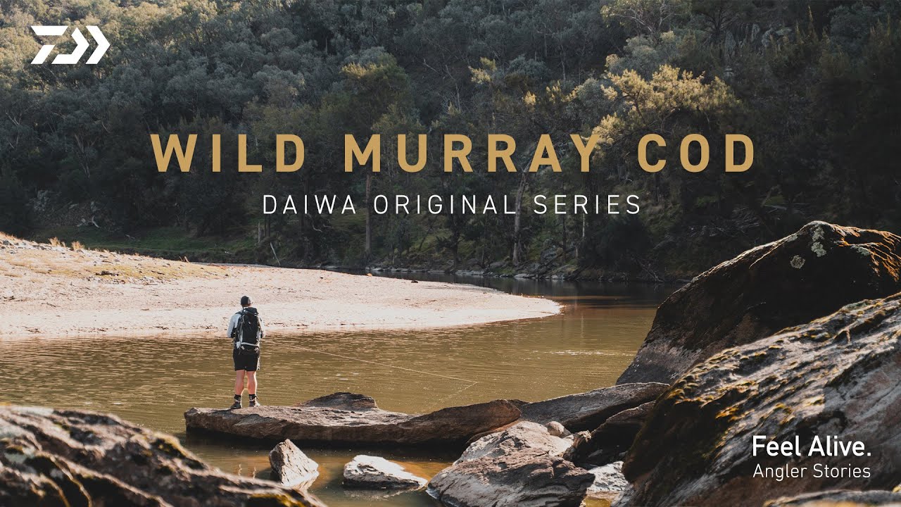 In Search of Giants | Murray Cod in the Wild