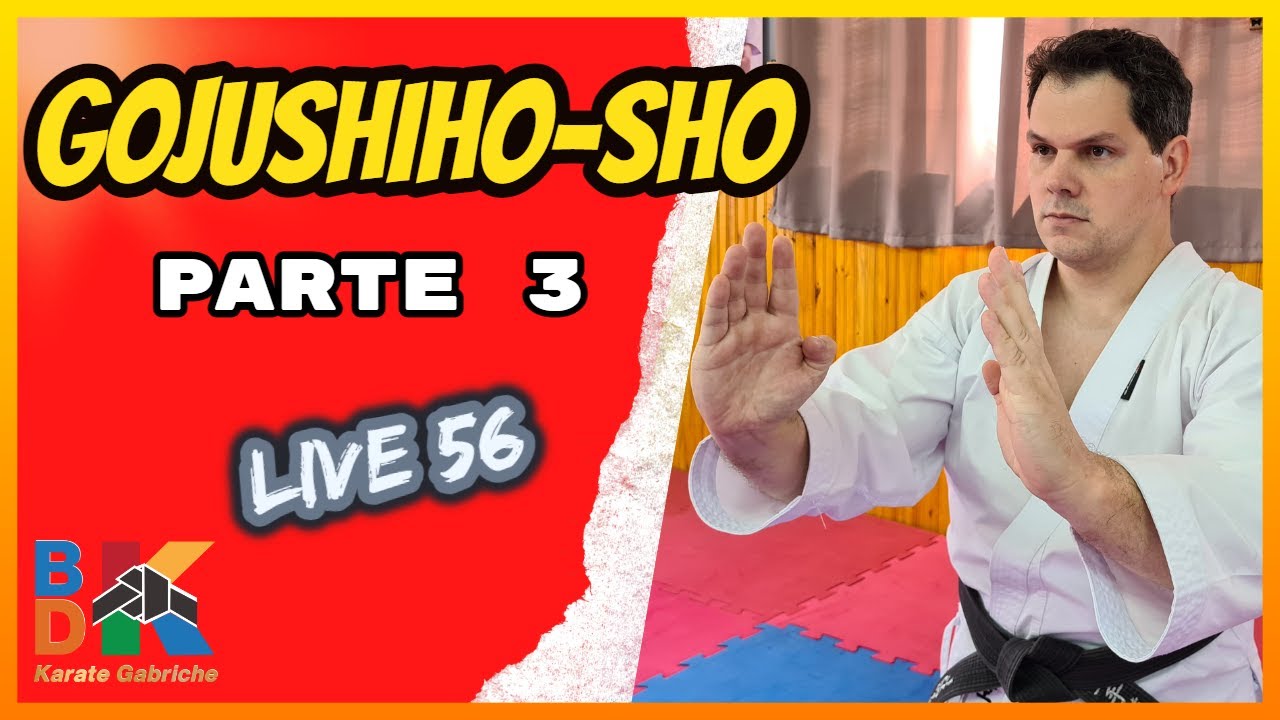 Gojushiho-Sho: Parte 3 - Live #56 | BDK Karate Gabriche