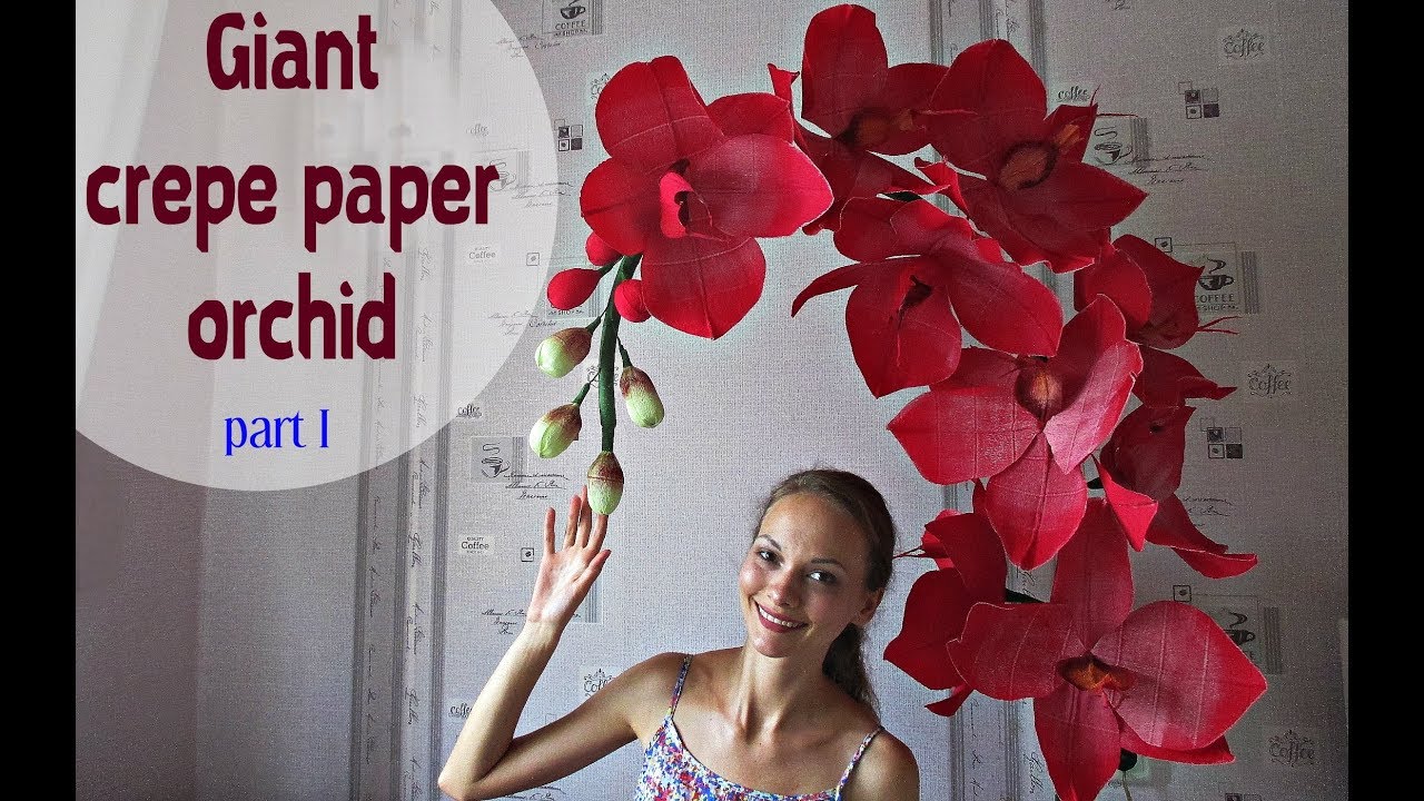 Giant paper orchid. Part 1. English subtitles