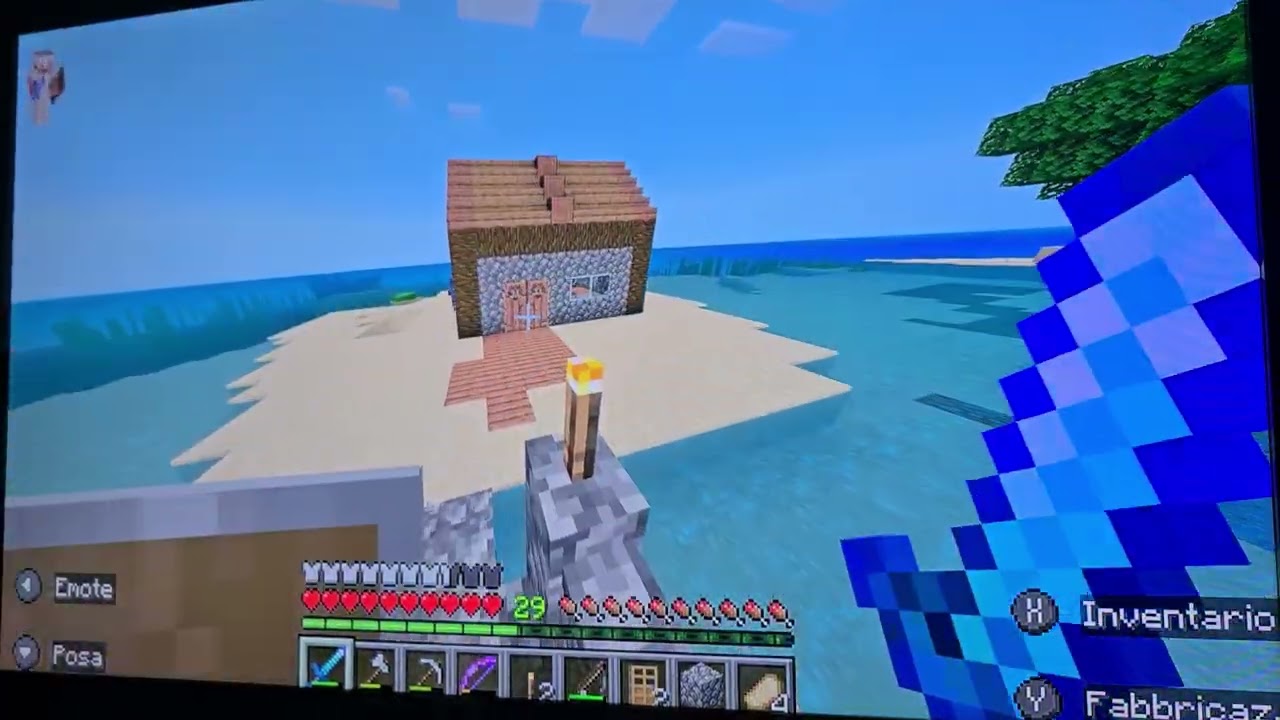 Il mio mondo minecraft