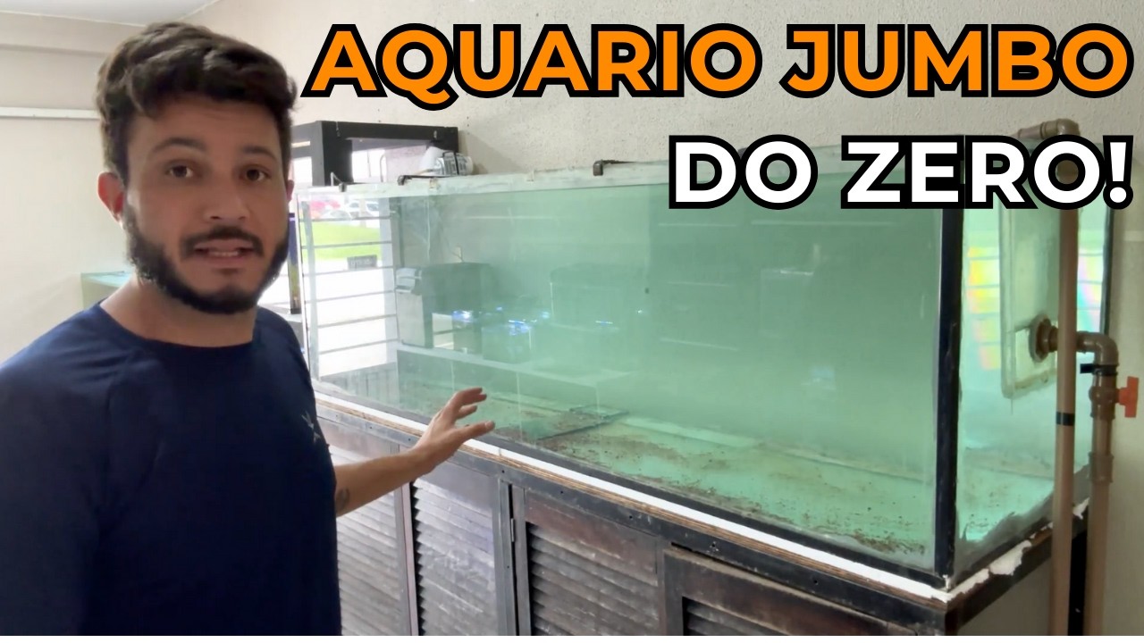 NUNCA TENHA AQUÁRIO JUMBO SEM SABER DO QUE PRECISA PRA TER PEIXES GRANDES NO AQUÁRIO