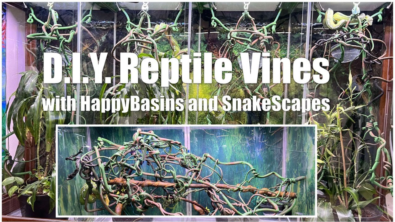 DIY Reptile Vines &ndash; Enrichment and Natural Habitat Replicas LIVE at 4 PM CST!