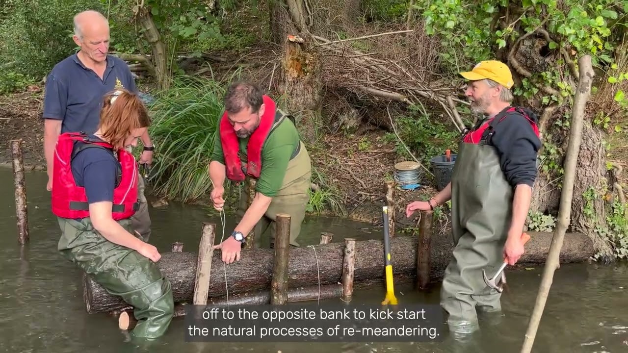Restoring the Tillingbourne: Rivers Week 2022
