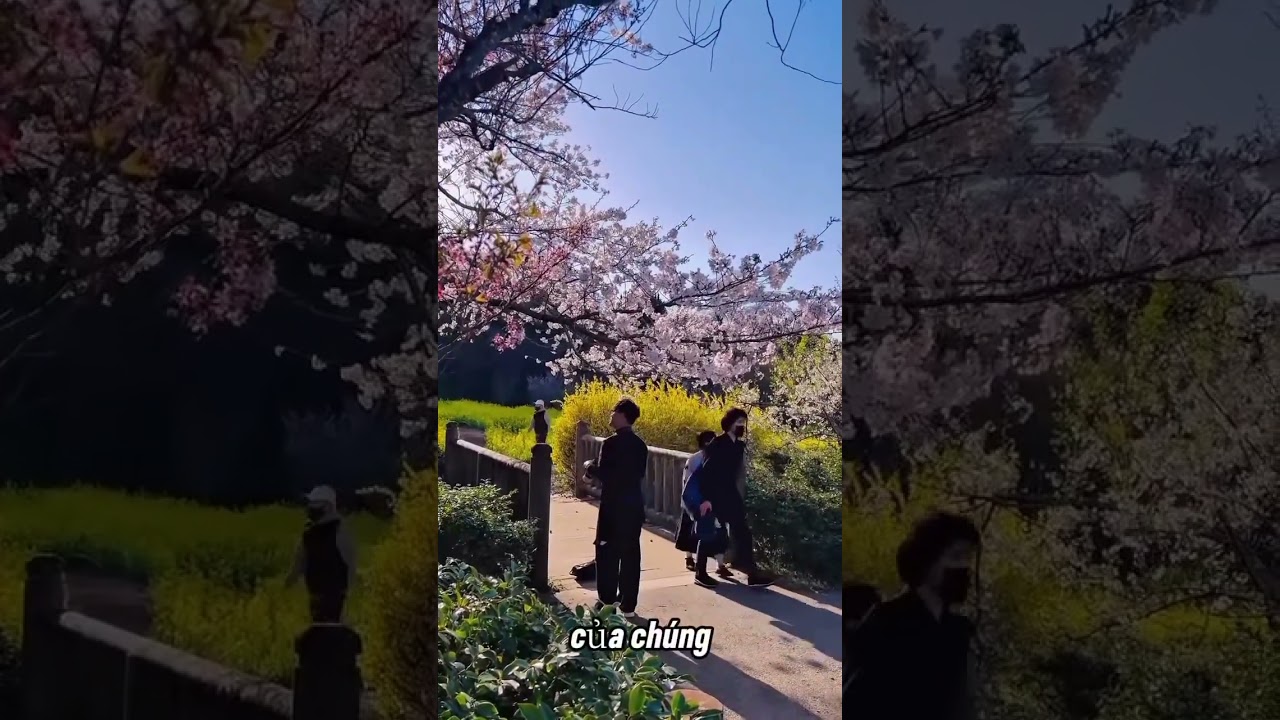 🛑 Có bao giờ bạn đã cố gắng đến kiệt sức 