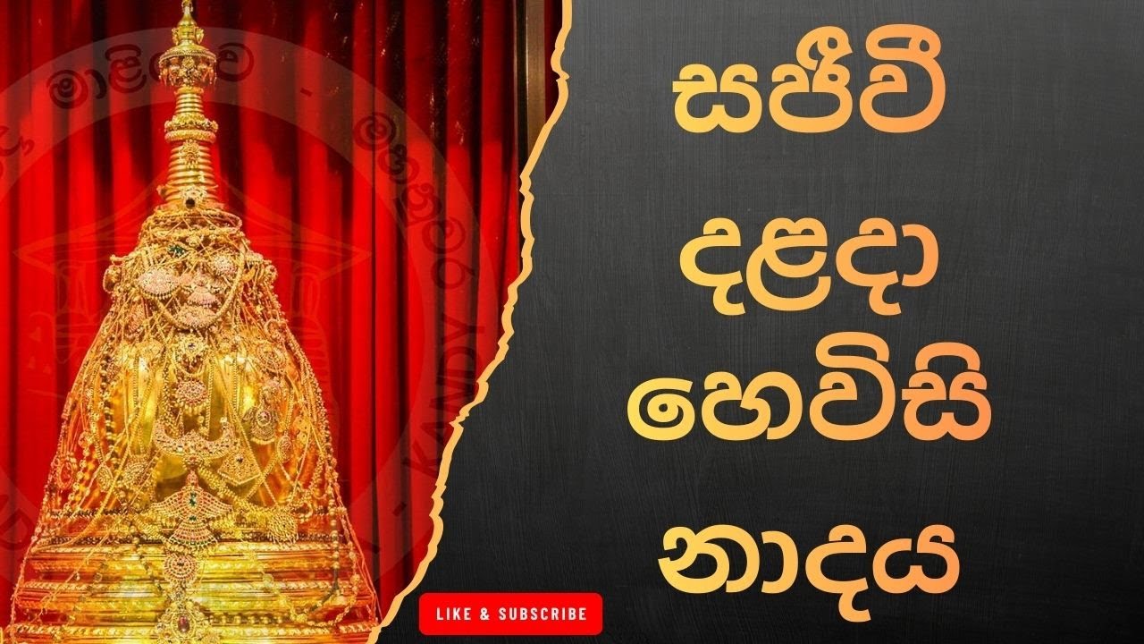 දළදා මාලිගාවේ සවස් තේවා හේවිසි – හදවත පිරිසිදු කරන නාදය 🎵 SIRI DALADA THEWA HEVISI NADAYA