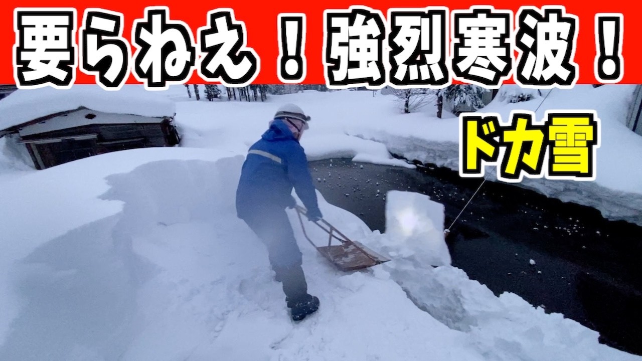 2025-02-20（木）会社から帰宅してすぐ屋根の雪下ろし。寒波もう要らねえよ！武七の除雪・雪かき日記　snow removal ASMR