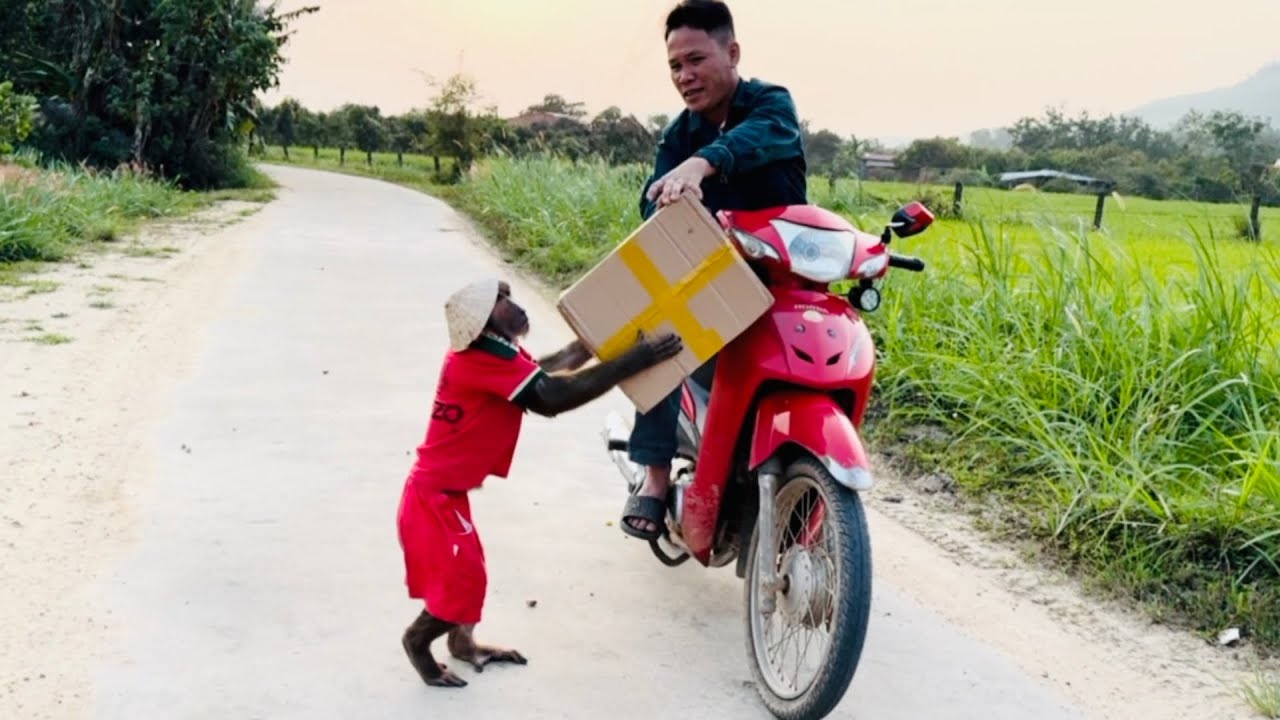 Abu Was Thrilled by an Unexpected Gift From His Kind Neighbor