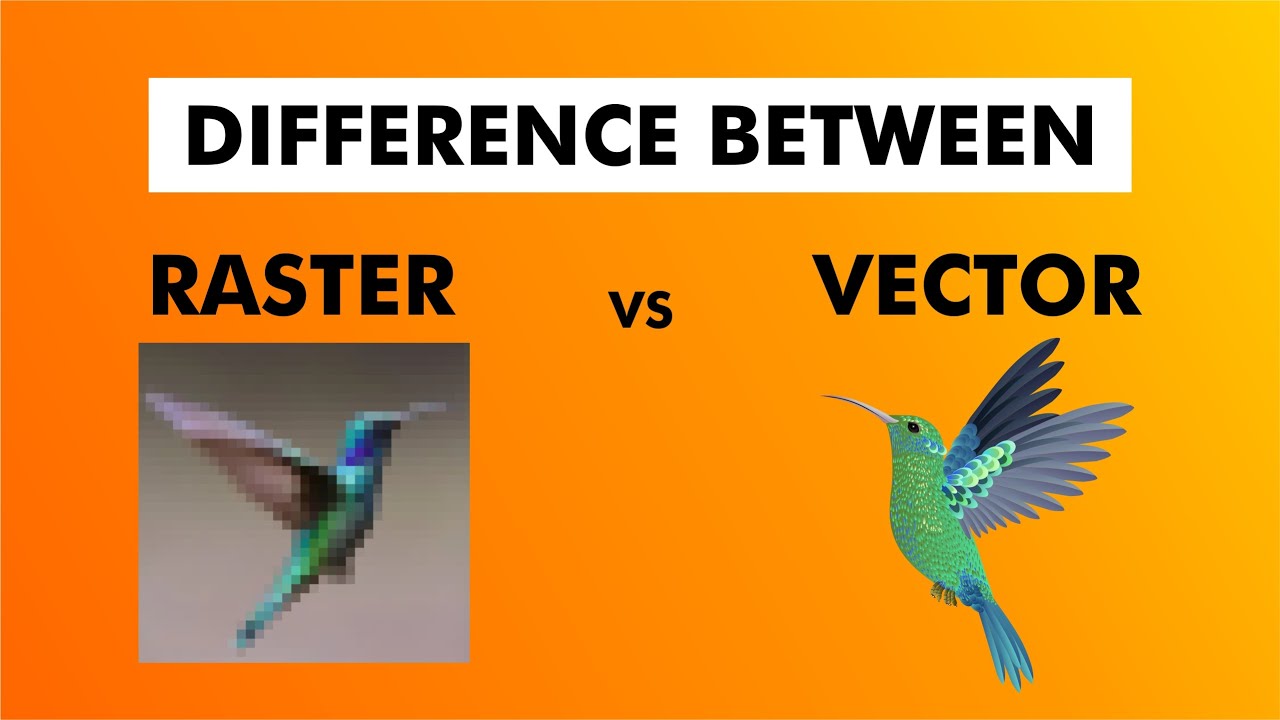 What is Raster and Vector  |  Difference Between Raster and Vector