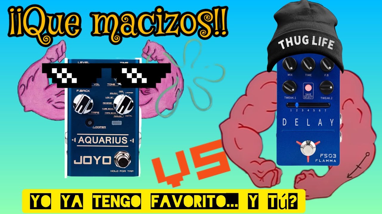 Joyo Aquarius VS Flamma FS03