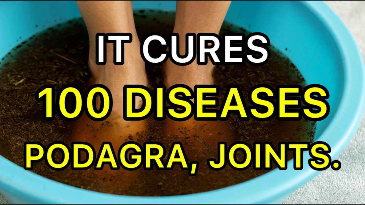 It Cures 100 Diseases! Podagra, Joints. My Grandfather Did This All His Life.