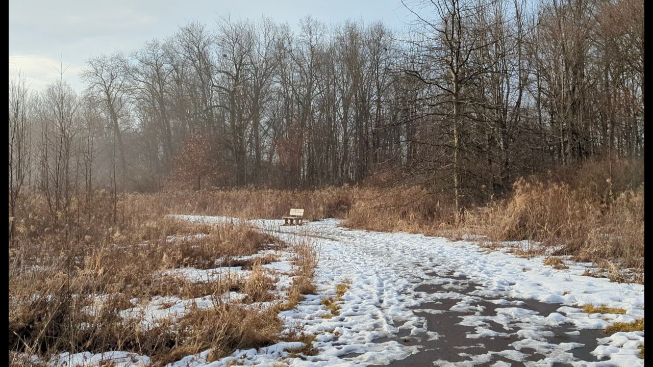 Barnes Preserve | Feb 17, 2026 | Foggy Morning