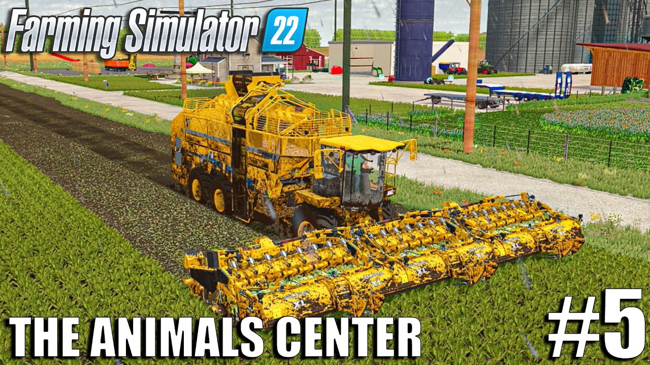 New Equipment and FIRST Harvest in MUD | Animals Center | Timelapse #5 | Farming Simulator 22