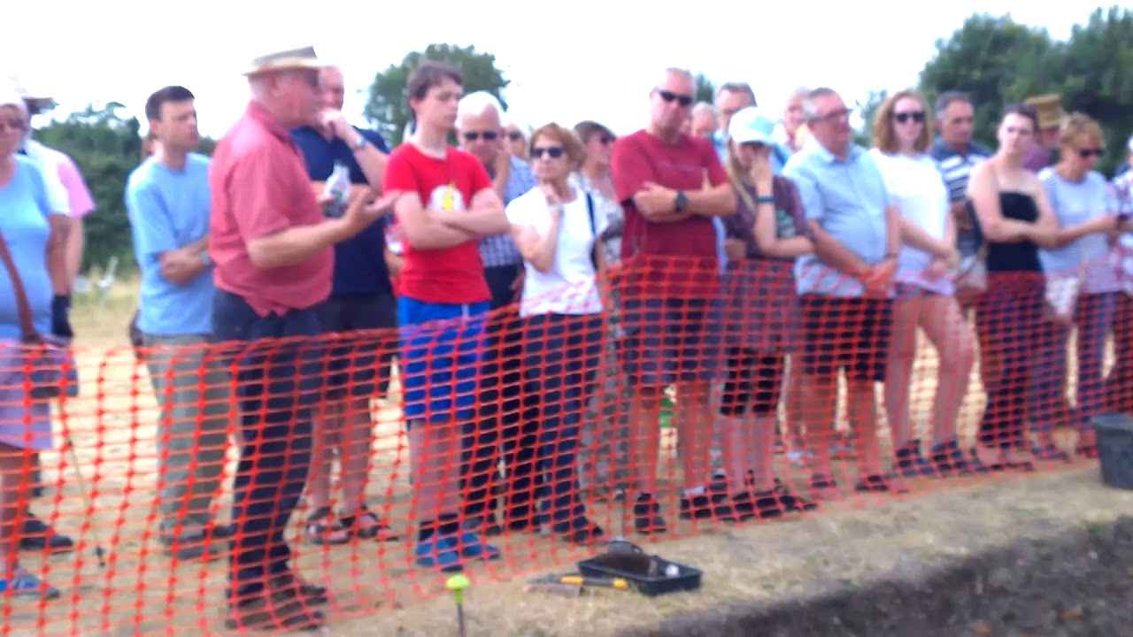 Silchester Open Day 2018 Michael Fulford