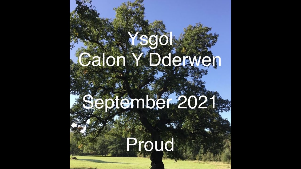Ysgol Calon y Dderwen 2021 - 'Proud'