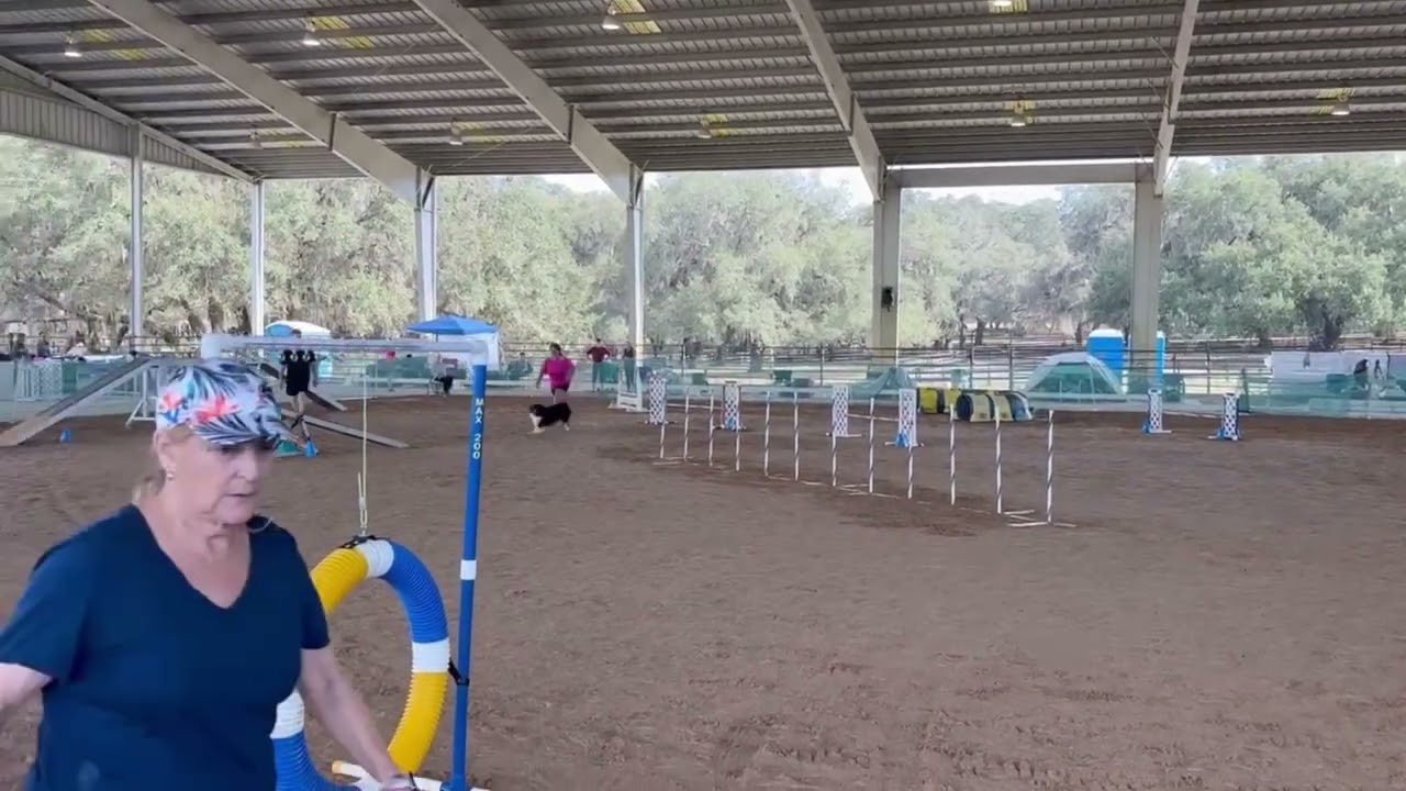 Masters Jumper's and standard preferred Grand Oaks 11/21/25