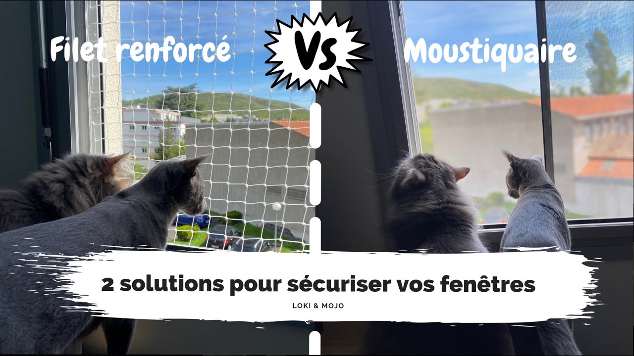 Comment sécuriser les fenêtres pour vos chats : 2 solutions - Loki & Mojo
