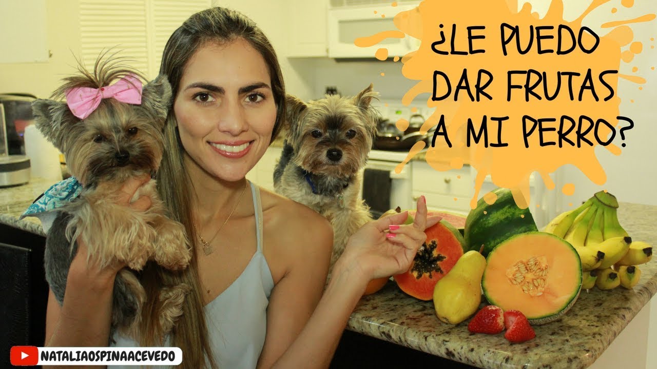 ¿Le puedo dar frutas a mi perro? - Tips by Natalia Ospina