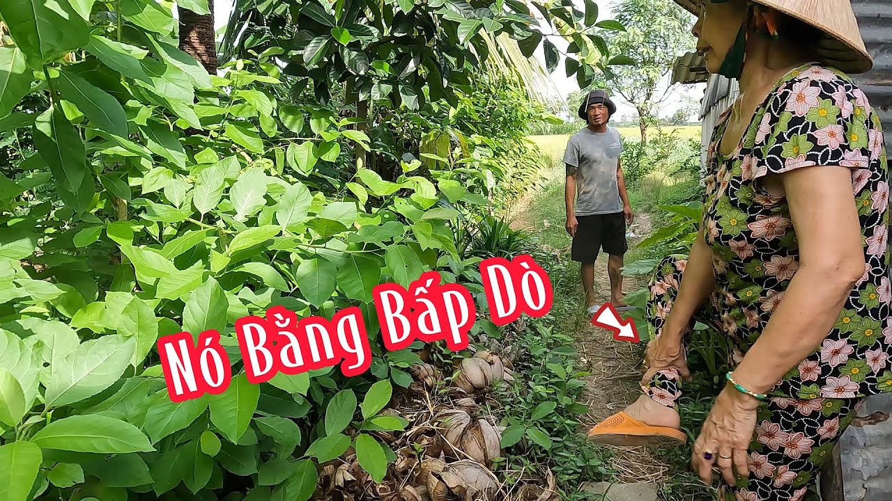 Không Thể Tin Nổi Con Rắn Gì Mà Nó To Khủng Khiếp Vậy Trời | Mười Thương SB