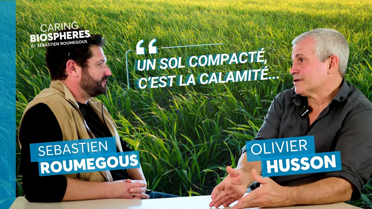 « Un sol compacté, c’est la calamité » : comment régénérer nos terres ?