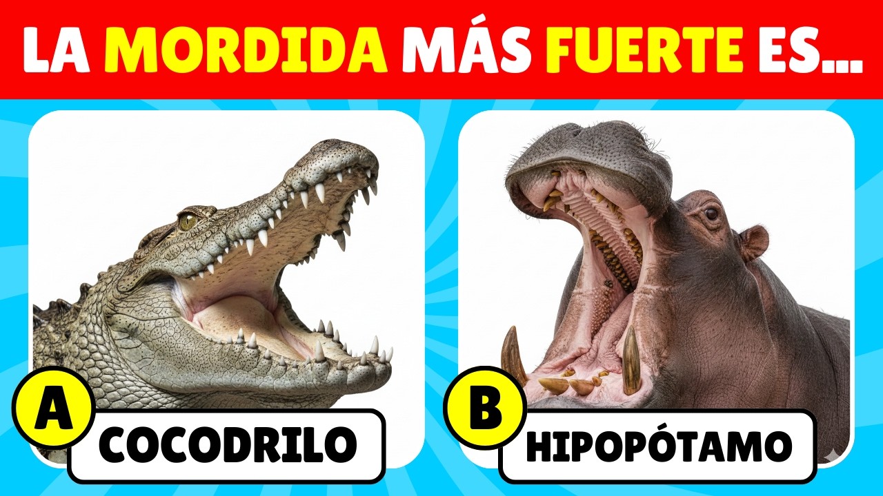 🐘 ¿Se te dan bien los animales? 🦁🌿 | 36 preguntas sobre el reino animal | Quiz Galáctico