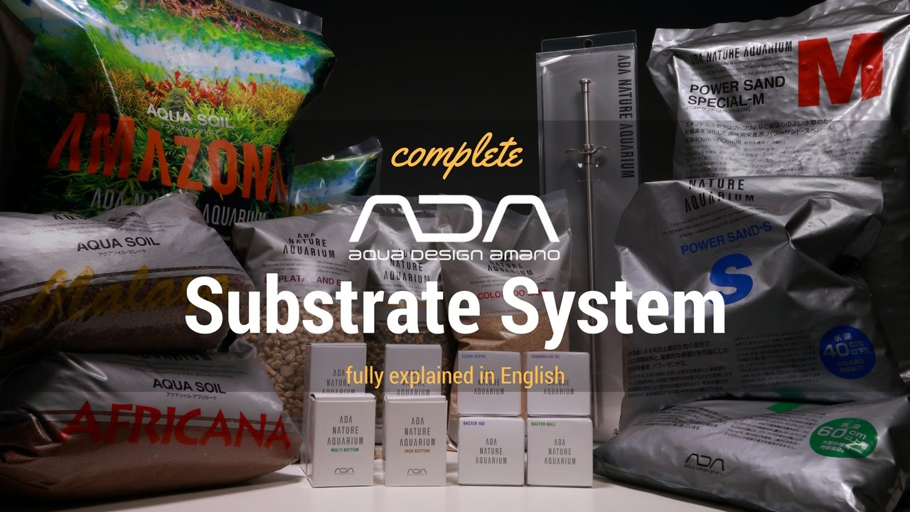 ADA Basics - Substrate System (english)