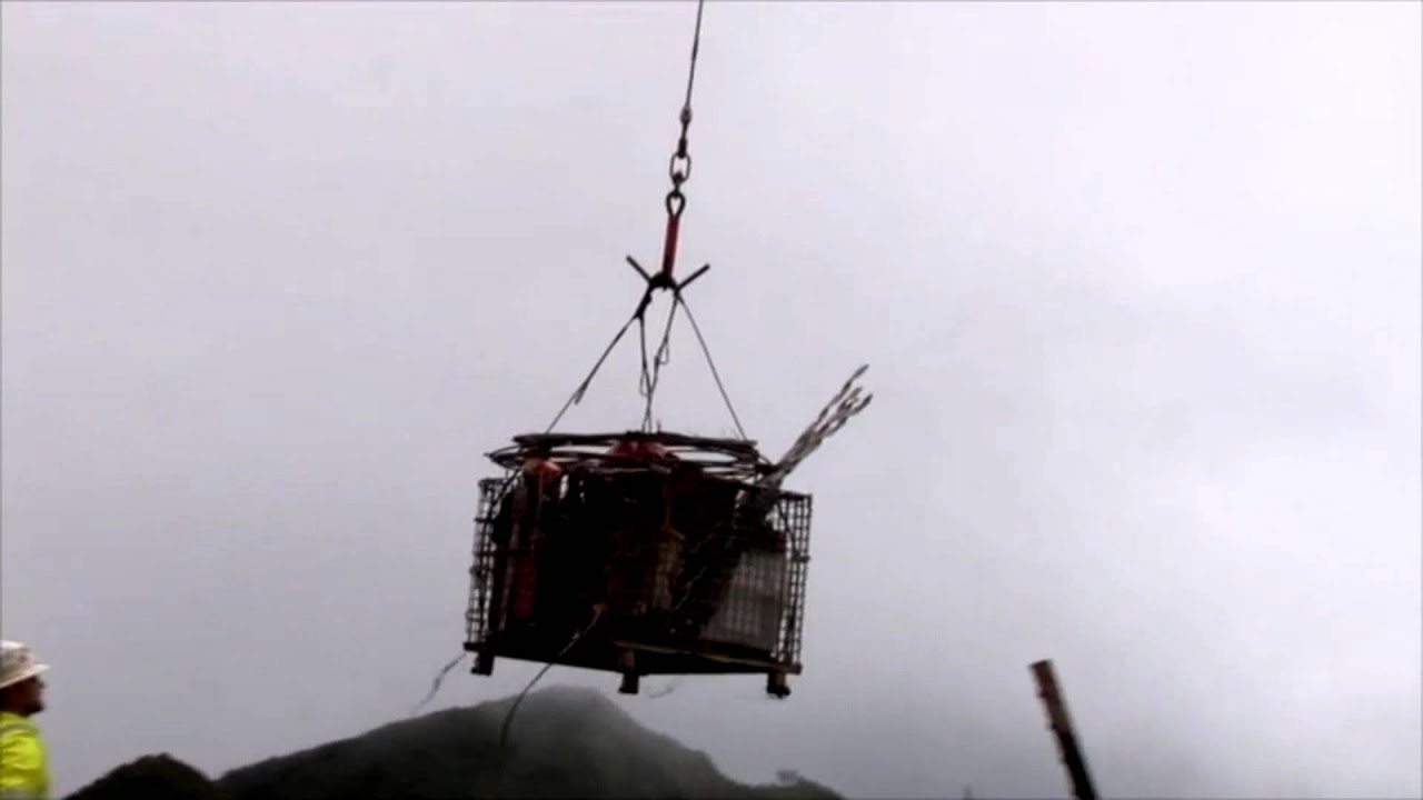 Henkels & McCoy - Power Transmission Line Replacement