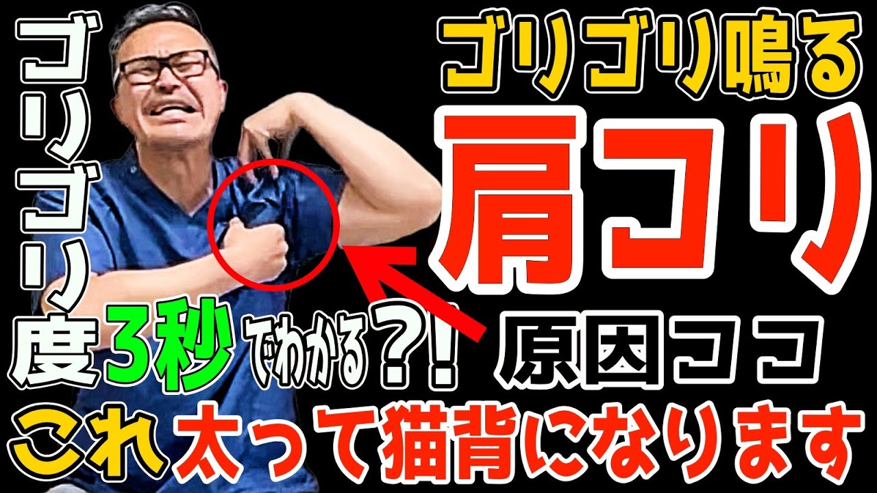ゴリゴリ鳴る肩コリ【一瞬でスッキリ！】勝手に内臓脂肪・中性脂肪も減らして【瞬間！肩こり・首コリ・猫背・解消し姿勢も改善】リンパ流し内臓洗浄で老化も防止