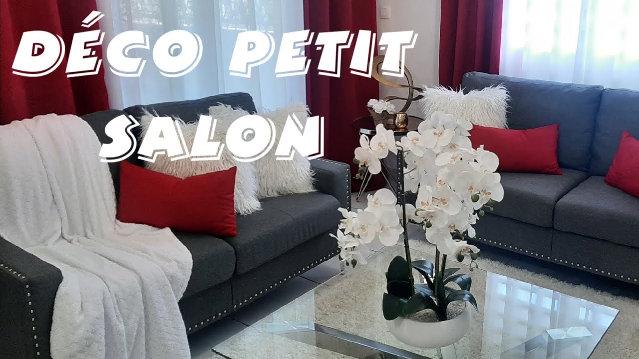 COMMENT D&Eacute;CORER UN PETIT SALON || HOW TO DECORATE A SMALL LIVING ROOM || SALON TOUR